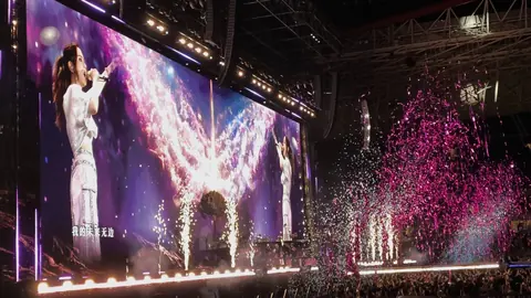 Revelation 相册中灯海与歌声交织的演唱会现场